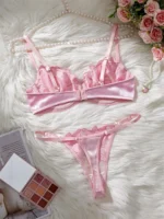 Pink Floral Embroidered Mesh Push-Up Lingerie Set - Image 2