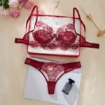 Wine Red Tulle Embroidered Mesh Lingerie Set