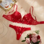 Romantic Red Lace Push-Up Translucent Lingerie Set