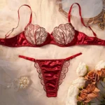 Burgundy Lace Mesh Push-Up Lingerie Set