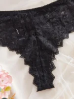 Black Lace Transparent Push-Up Lingerie Set - Image 4