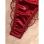 Burgundy Lace Mesh Push-Up Lingerie Set - Image 5