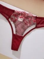 Wine Red Tulle Embroidered Mesh Lingerie Set - Image 4