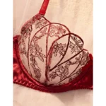 Burgundy Lace Mesh Push-Up Lingerie Set - Image 3
