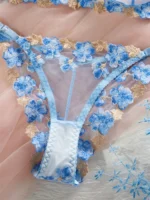 Daring Blue Lace Embroidered Mesh Lingerie Set - Image 4