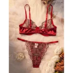 Burgundy Lace Mesh Push-Up Lingerie Set - Image 2